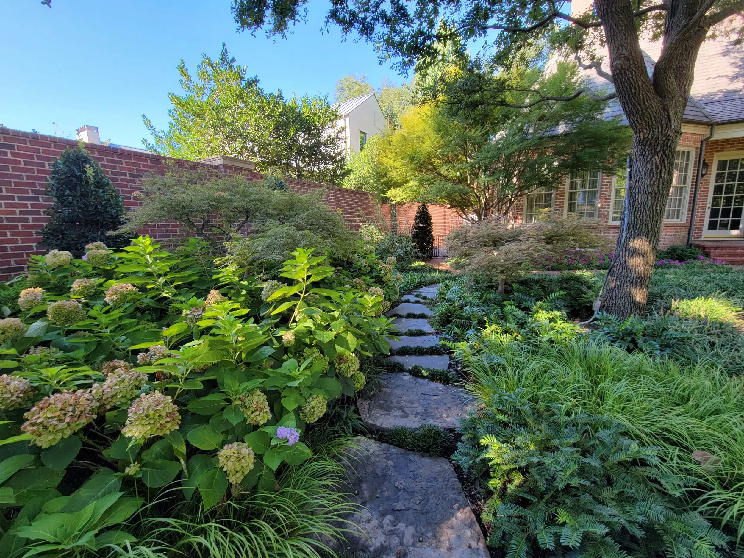 Landscape Design Richardson
